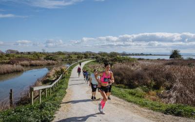 Fast, Flat and Beautiful Running Highlights the 2023 Hawke’s Bay Marathon